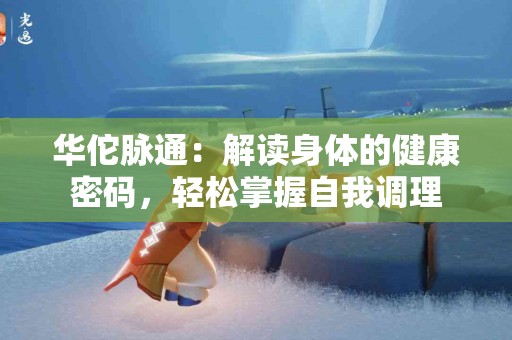 华佗脉通：解读身体的健康密码，轻松掌握自我调理