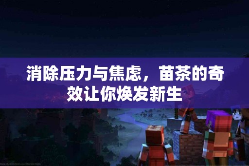 消除压力与焦虑，苗茶的奇效让你焕发新生