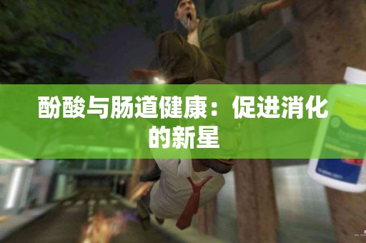酚酸与肠道健康：促进消化的新星
