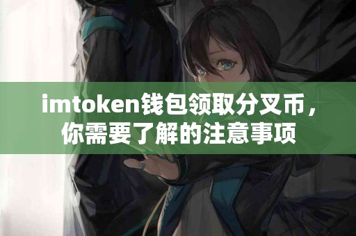 imtoken钱包领取分叉币，你需要了解的注意事项