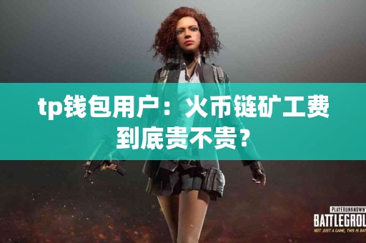 tp钱包用户：火币链矿工费到底贵不贵？