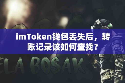 imToken钱包丢失后，转账记录该如何查找？