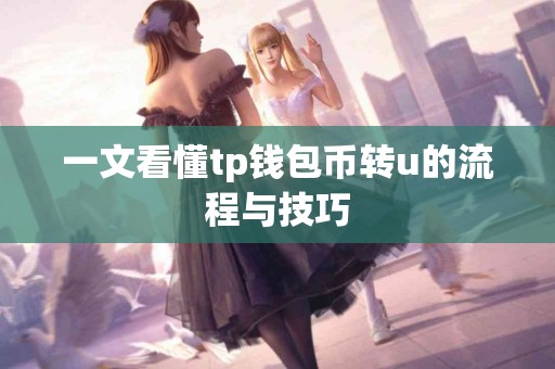 一文看懂tp钱包币转u的流程与技巧