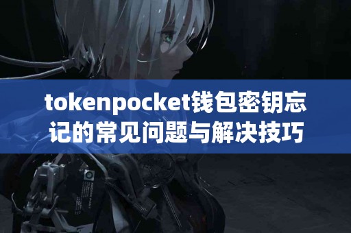 tokenpocket钱包密钥忘记的常见问题与解决技巧