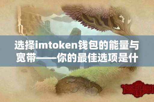 选择imtoken钱包的能量与宽带——你的最佳选项是什么？