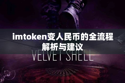 imtoken变人民币的全流程解析与建议