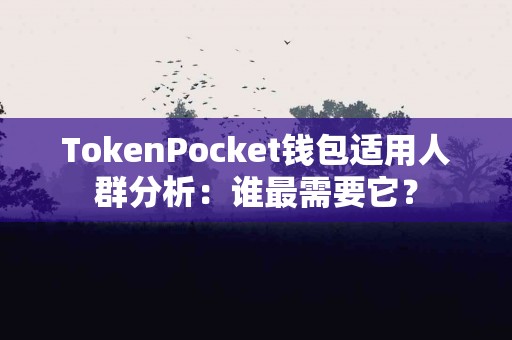 TokenPocket钱包适用人群分析：谁最需要它？