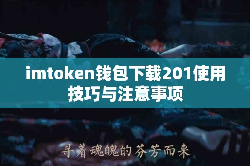 imtoken钱包下载201使用技巧与注意事项
