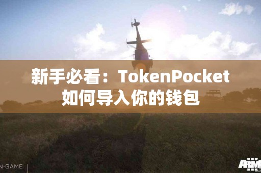 新手必看：TokenPocket如何导入你的钱包