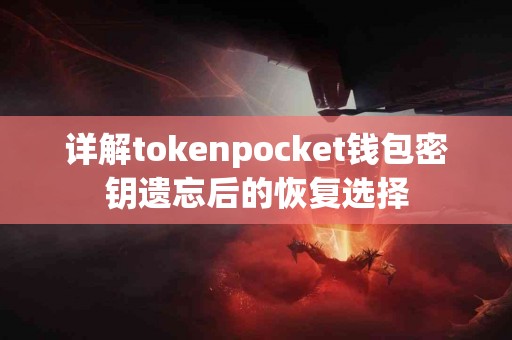 详解tokenpocket钱包密钥遗忘后的恢复选择