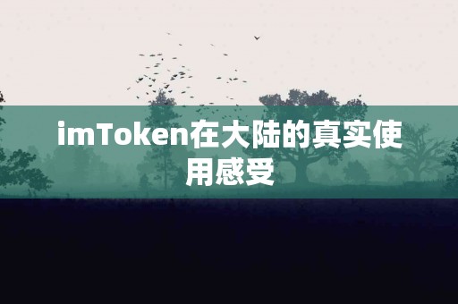 imToken在大陆的真实使用感受
