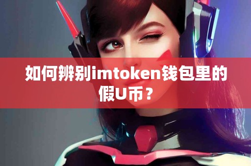 如何辨别imtoken钱包里的假U币？