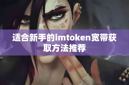 适合新手的imtoken宽带获取方法推荐