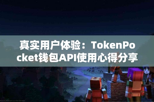真实用户体验：TokenPocket钱包API使用心得分享