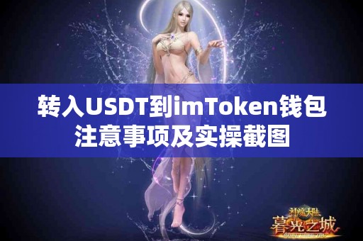 转入USDT到imToken钱包注意事项及实操截图