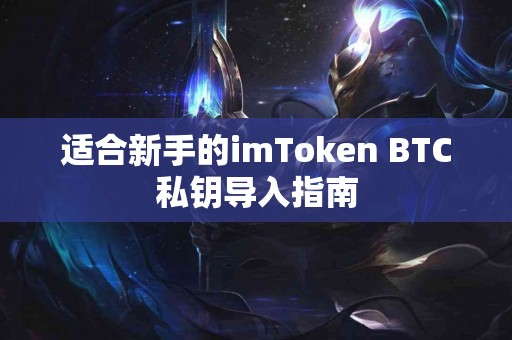 适合新手的imToken BTC私钥导入指南