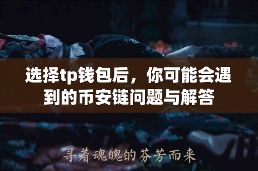 选择tp钱包后，你可能会遇到的币安链问题与解答
