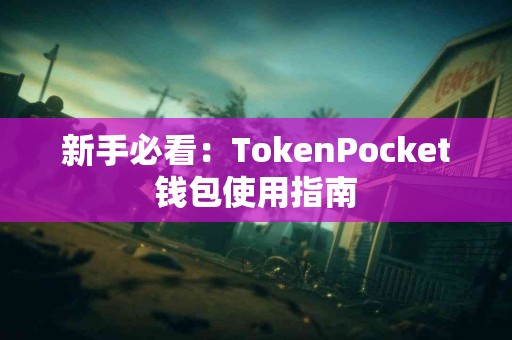 新手必看：TokenPocket钱包使用指南
