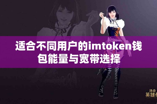 适合不同用户的imtoken钱包能量与宽带选择