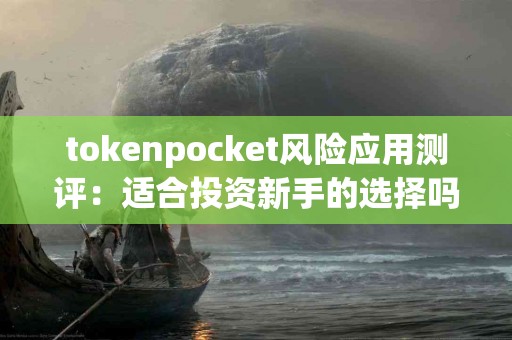 tokenpocket风险应用测评：适合投资新手的选择吗？