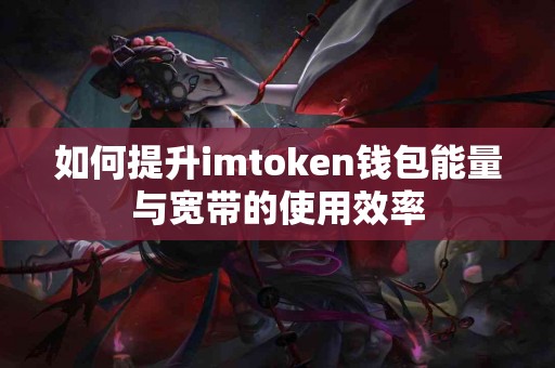 如何提升imtoken钱包能量与宽带的使用效率