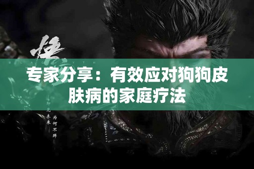 专家分享：有效应对狗狗皮肤病的家庭疗法