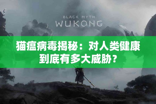 猫瘟病毒揭秘：对人类健康到底有多大威胁？