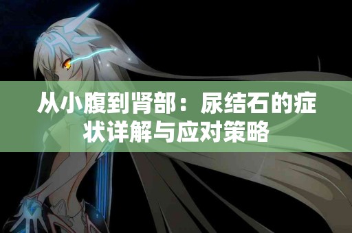 从小腹到肾部：尿结石的症状详解与应对策略