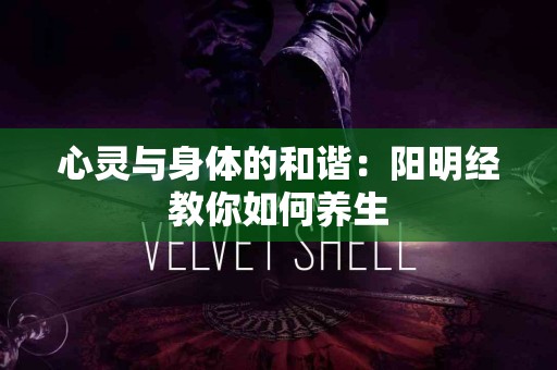 心灵与身体的和谐：阳明经教你如何养生