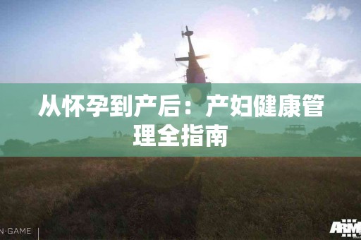 从怀孕到产后：产妇健康管理全指南
